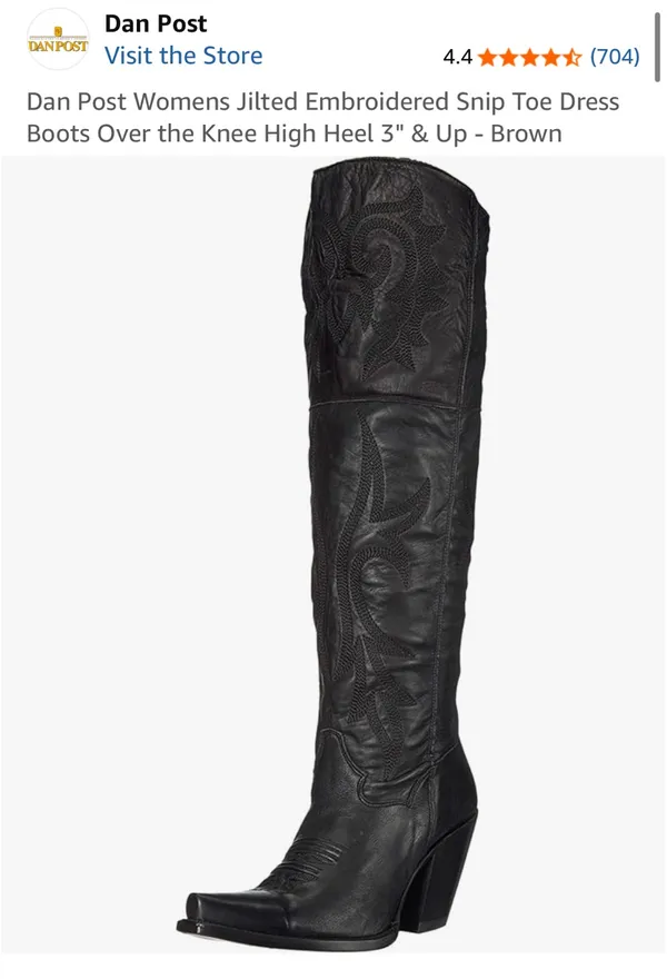 Dan Post Boots - Image 3