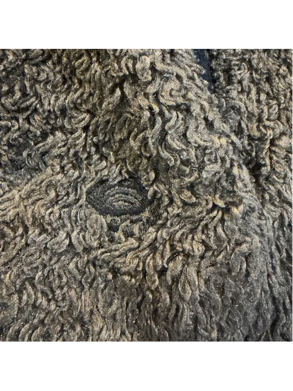 Mountain Hardwear Women’s M Brown Sherpa Fleece Hooded Pullover - Image 9