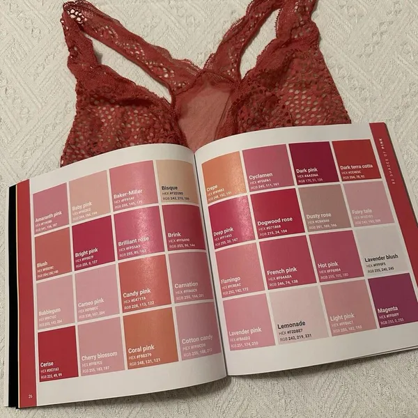 Victoria’s Secret Pink Lace Racer back Bralette Women’s Sz M Medium NWOT - Image 7