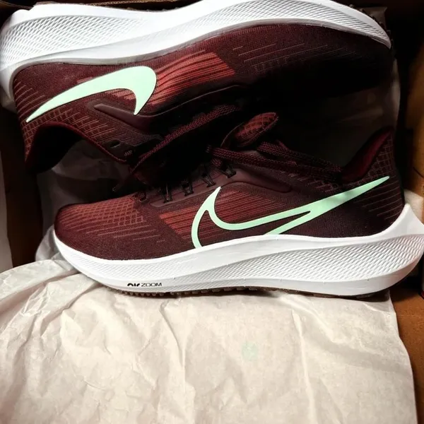 Nike Air Zoom Pegasus 39 Canyon Rust Mint Foam Women’s 9 NIB - Image 11