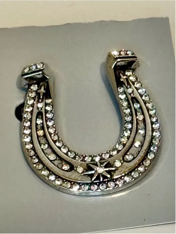 NEW Silver Horseshoe Rhinestone Brooch Lucky Statement Pin Bag Charm - Image 2