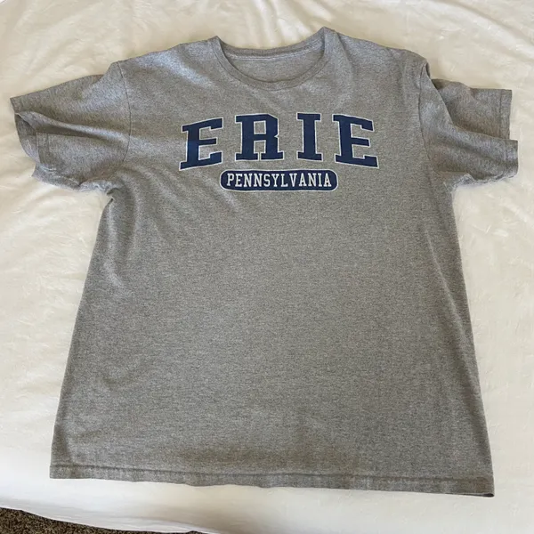 Y2K Erie tee Gray Size L - Image 2