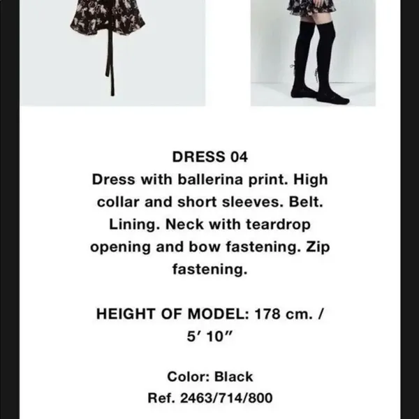✨Zara Studio Ballet Print Ruffle Sz Xs/S Dress✨ - Image 5