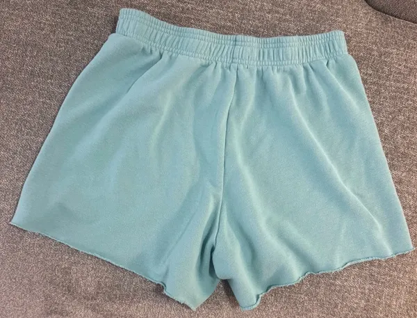 Playboy Bunny PacSun Shorts - Image 4