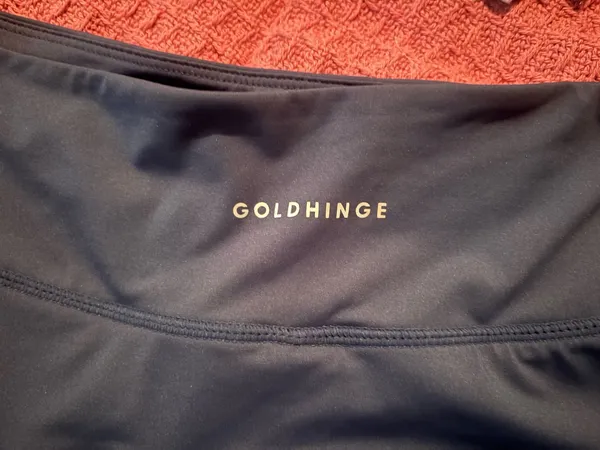 Gold Hinge Skirt - Image 3