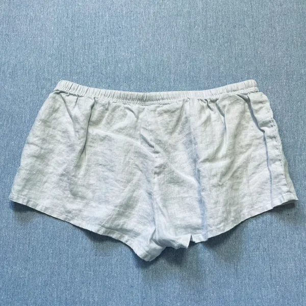 Brandy Melville John Galt Mary Lou Linen Shorts in Light Blue - Image 5