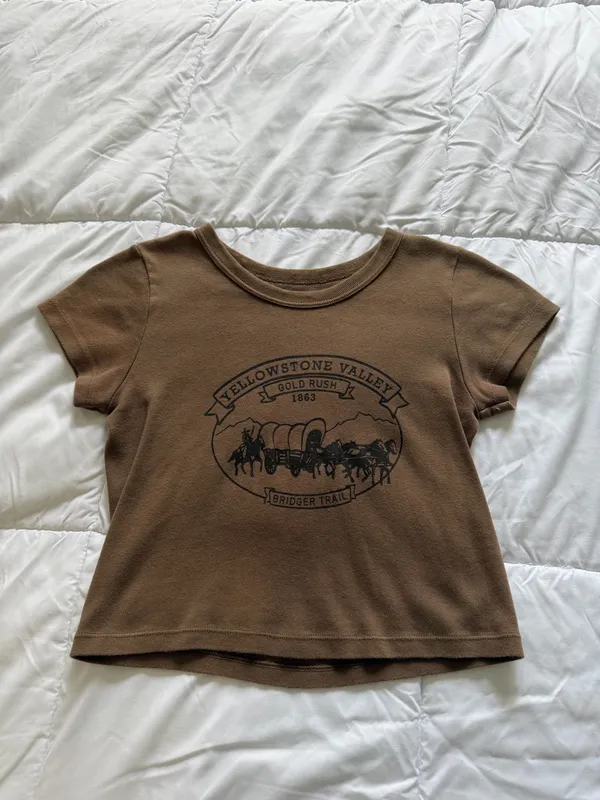 Brandy Melville Brown Crop Top - Image 4