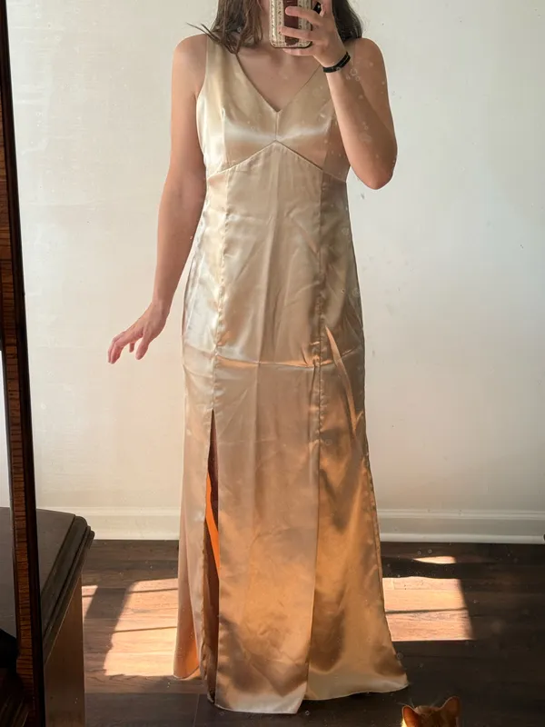 Birdy Grey Champagne Satin Dress - Image 7