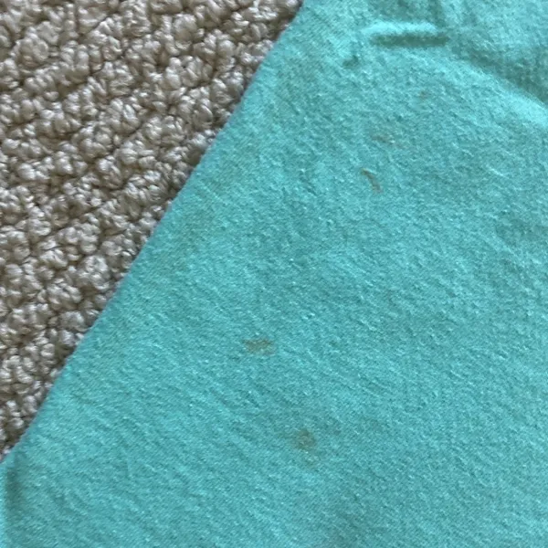 Comfort Colors AOPi Alpha Omicron Pi Smoke Out Arthritis T-Shirt Teal Large NWOT - Image 6