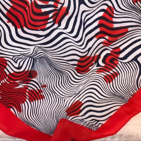 Red‎ Black White Abstract Zebra Stripe Sheer Scarf Lightweight Statement Blue - Image 2