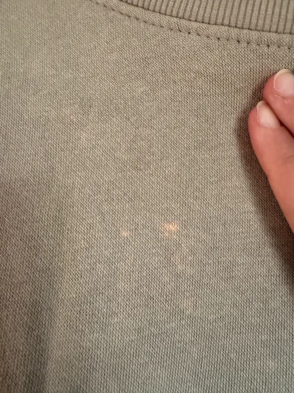 Sage Green The North Face Crewneck - Image 3