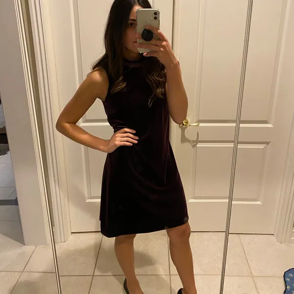 Ann Taylor Plum Velvet Dress - Image 8