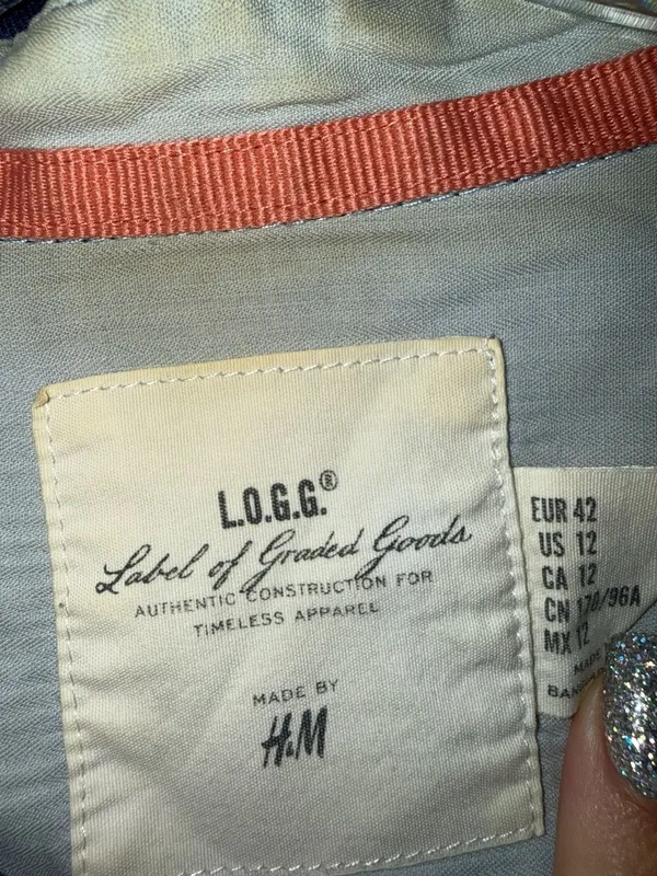 L.O.G.G. H&M Label of Graded Goods Blue Plaid Flannel Shirt with Elbow Patches - Image 9