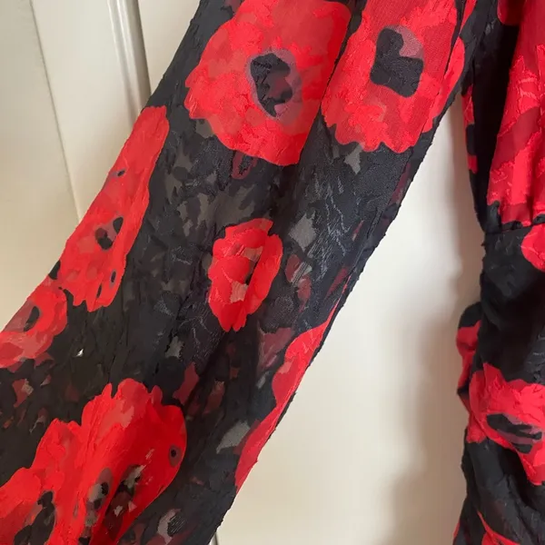VICI Silk Night Ruched Floral Mini Dress - Chic Red Floral Dress - Image 6