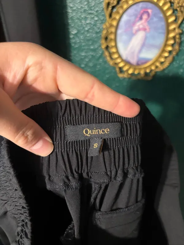 Quince Pull On Black Ankle Pants Sz Small - Image 4