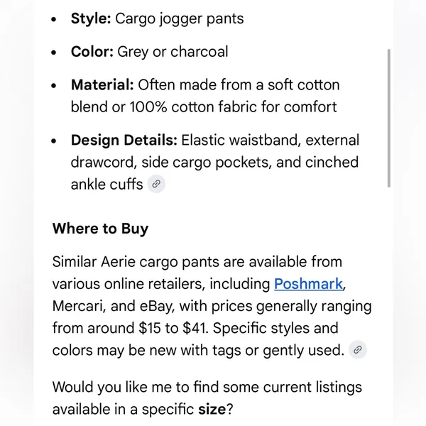 Aerie Charcoal Grey Cargo Jogger Pants | Size Large - Image 10