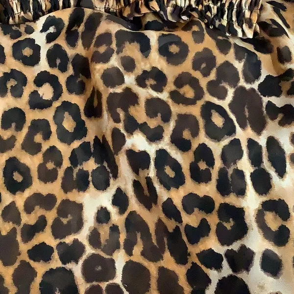 Express Size Medium Leopard Print Smocked Mock Neck Tie-Front Top. Preloved - Image 8