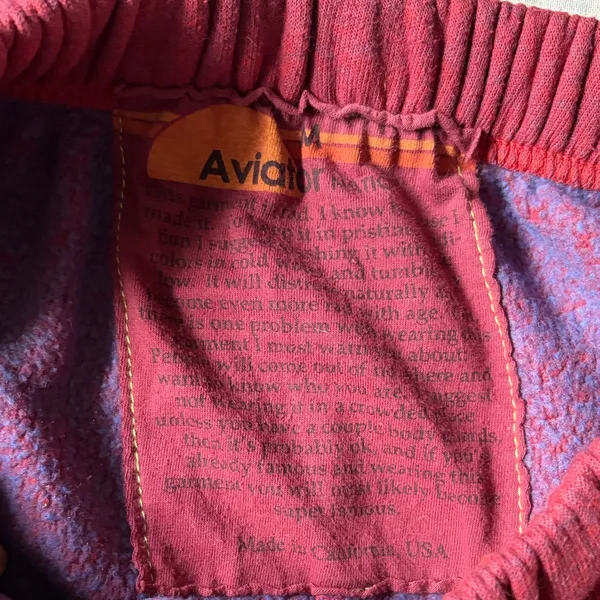 Aviator Nation Joggers with Colorful Stripe - Image 4