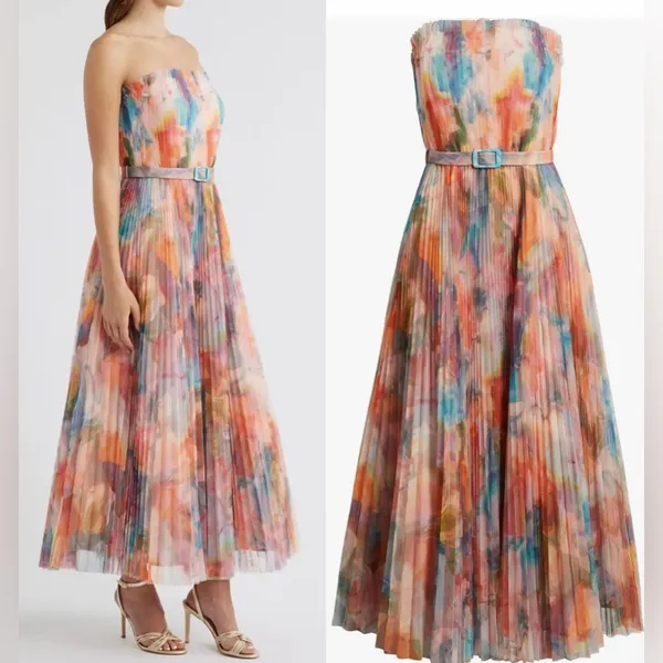 NWOT Hutch Strapless pleated Belted Chiffon Floral Maxi Dress sz 4 - Image 3