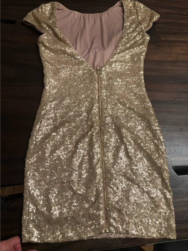 Dress the Population Sequin Dress - Image 2