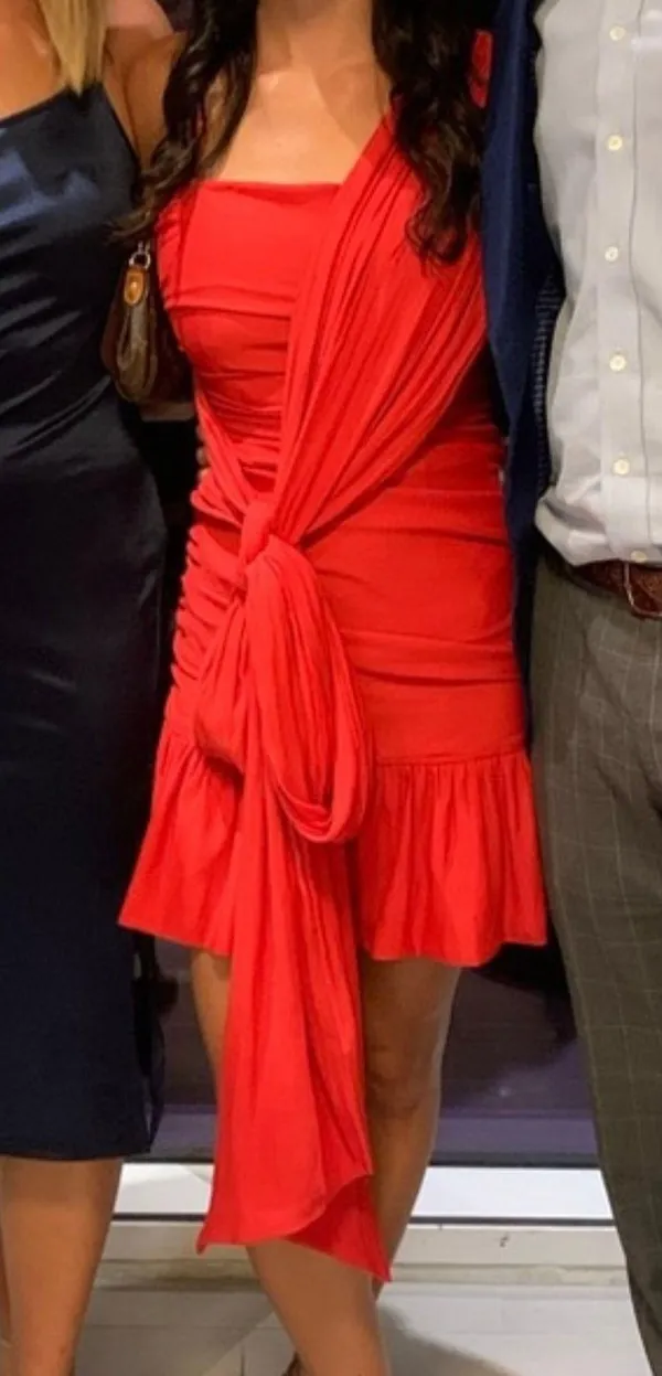 NBD Dress Revolve - Image 2