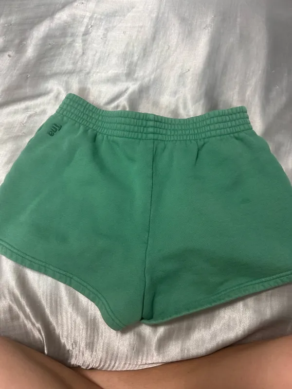 TNA Aritzia Shorts - Image 2