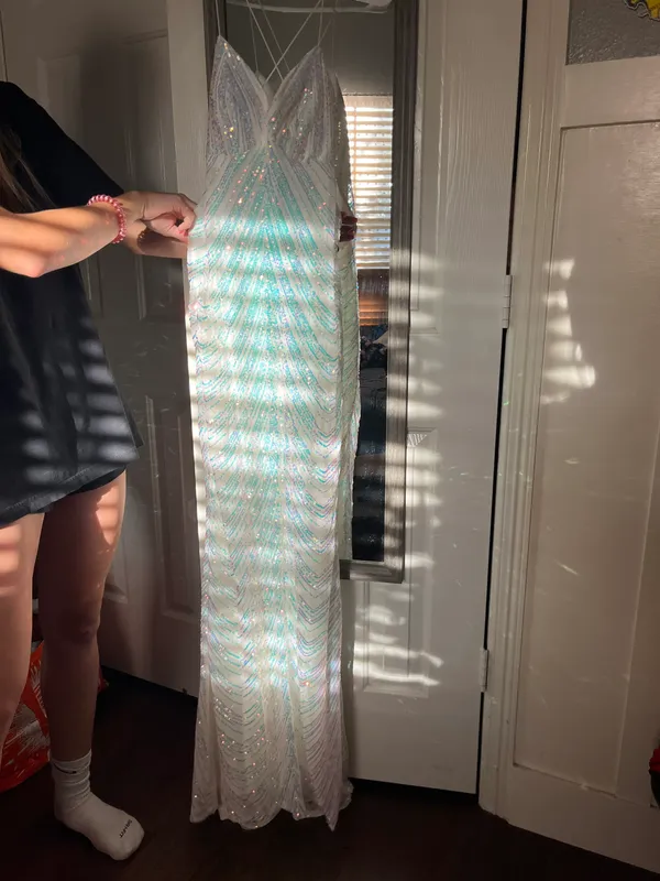 Windsor Prom Dress - Image 3