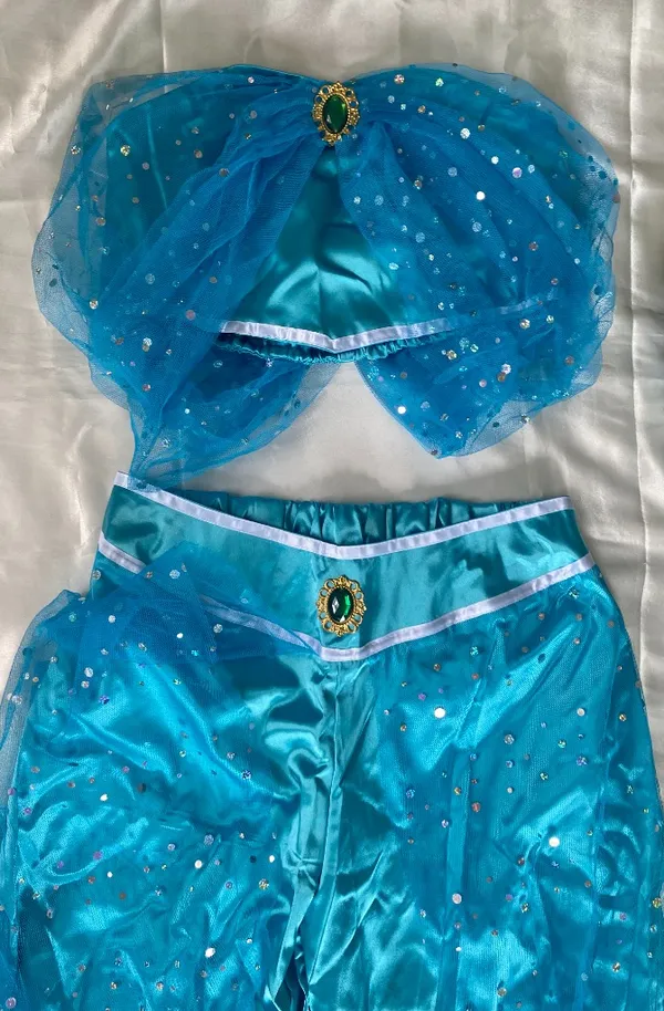 Women's Adult Princess Jasmine Costume w/Wig - WORN ONCE! - Image 3