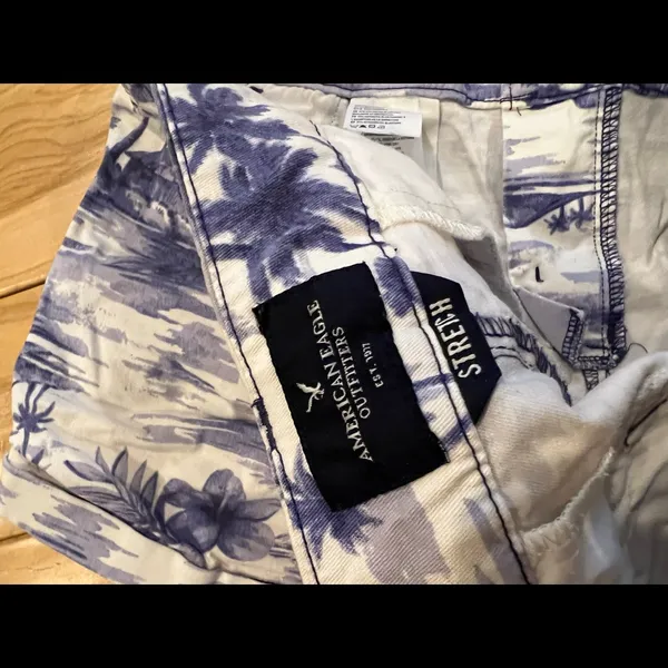 American Eagle Shorts - Image 3