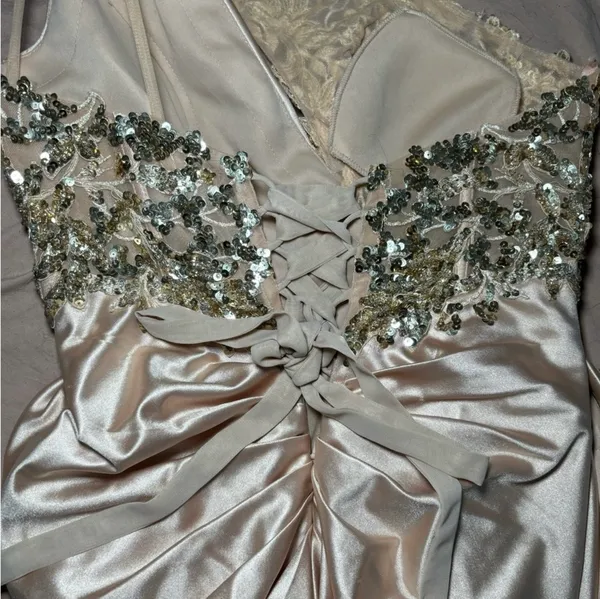 Cinderella Divine Formal champagne/gold dress - Image 4