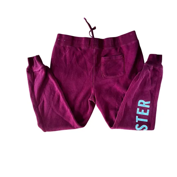 HOLLISTER Graphic Logo Deep Red Sweatpants Fleece Jogger | S - Image 2