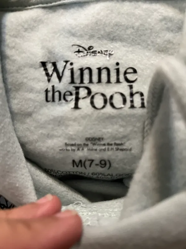 Disney NWT Winnie the Pooh friends blue pullover hoodies top - Image 4