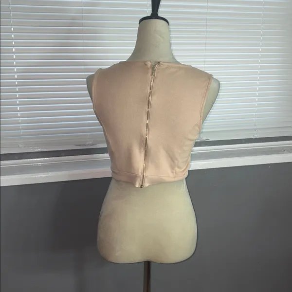 Bebe Rose Dust Crop Top - Image 3