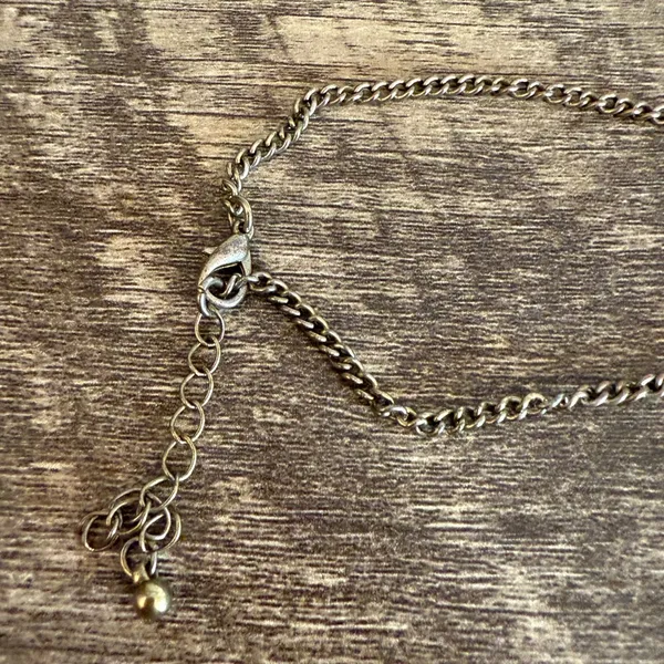 Vintage Fang Tooth Necklace Discoloration - Image 6