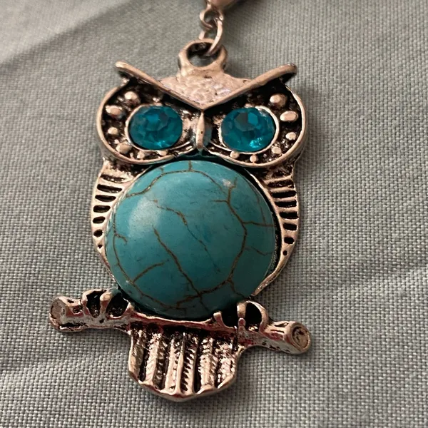 14” Necklace Silver Tone Owl On Branch Pendant Turquoise & Blue Stones - Image 2