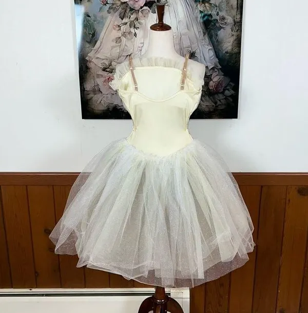 Fabulous Curtain Call Dance Costume! - Image 3