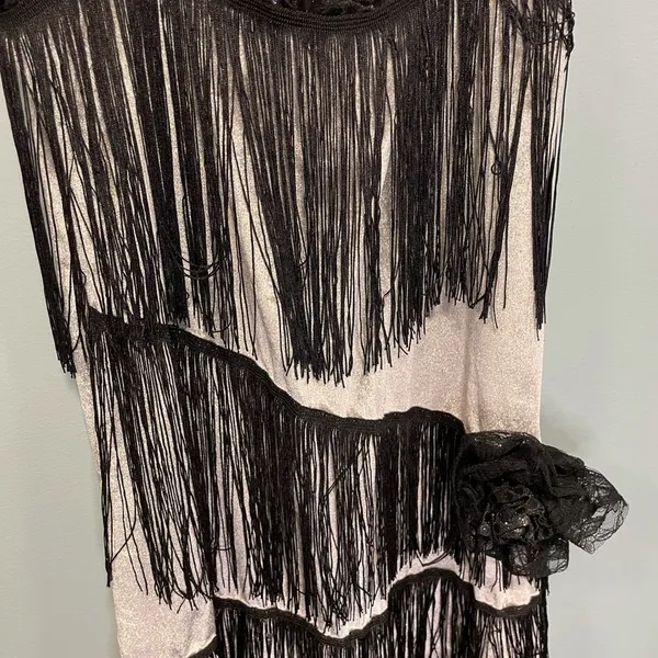 Flapper fringe dress! 1920s silver and black Halloween costume dress! - Image 4