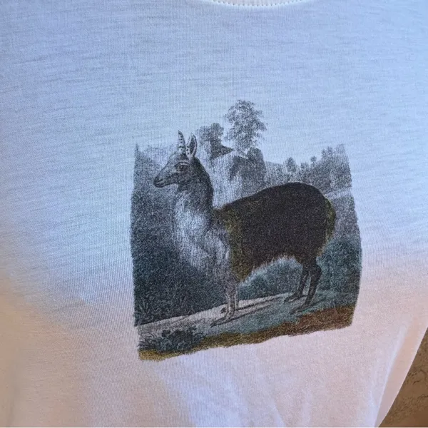 NWOT Peruvian Connection Ivory Knit Top - Image 5