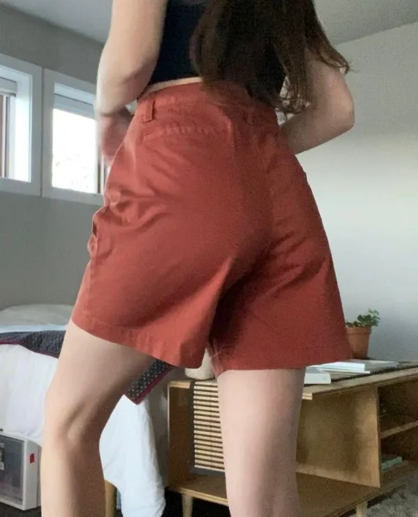 Lands End Burnt Orange Mid Rise Shorts - Image 4