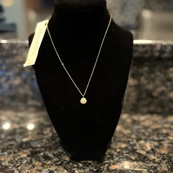 NWT Robin Haley Gold Freedom Necklace with Diamond - Image 4