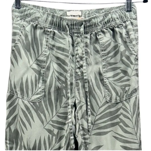 C‎ And California Jogger Pants Green 2 - Image 3