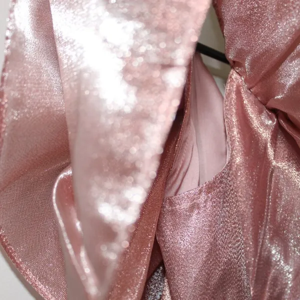 Choosy Copper Rose Organza Dress Size Small - Image 11