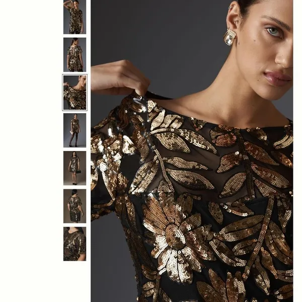 Anthropologie Short-Sleeve Sheer Embellished Mini Dress - Image 5