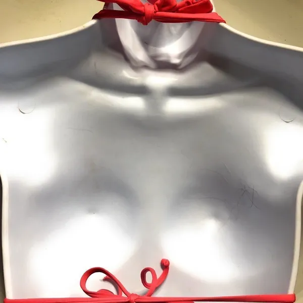 L*Space Bikini Top - Image 4