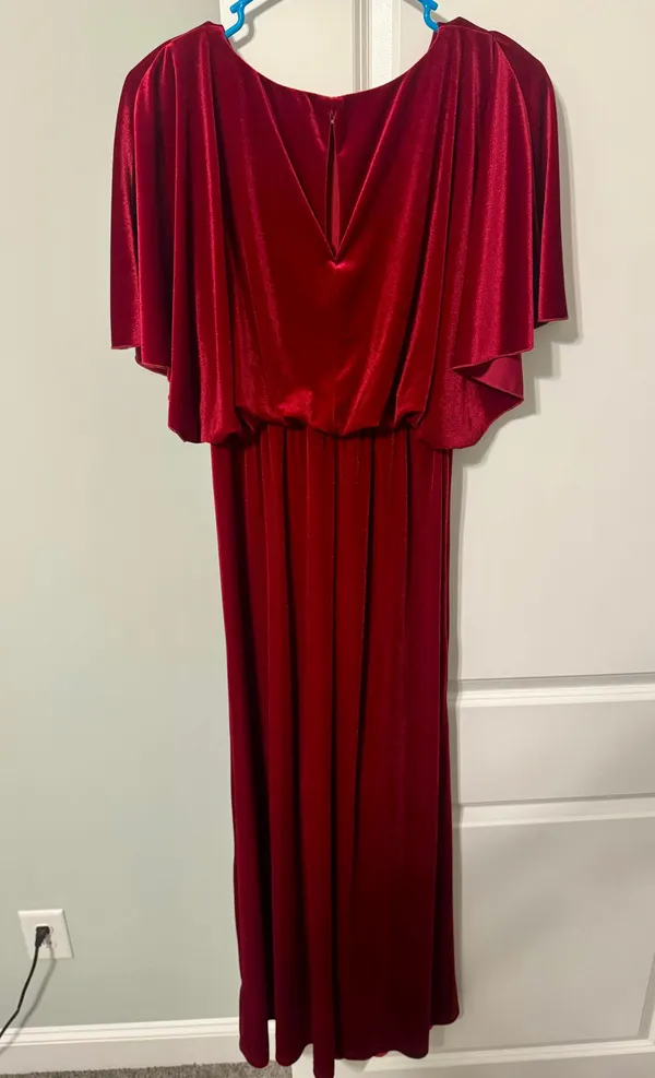 See And Be Seen Red Maxi Velvet Dress - Image 2