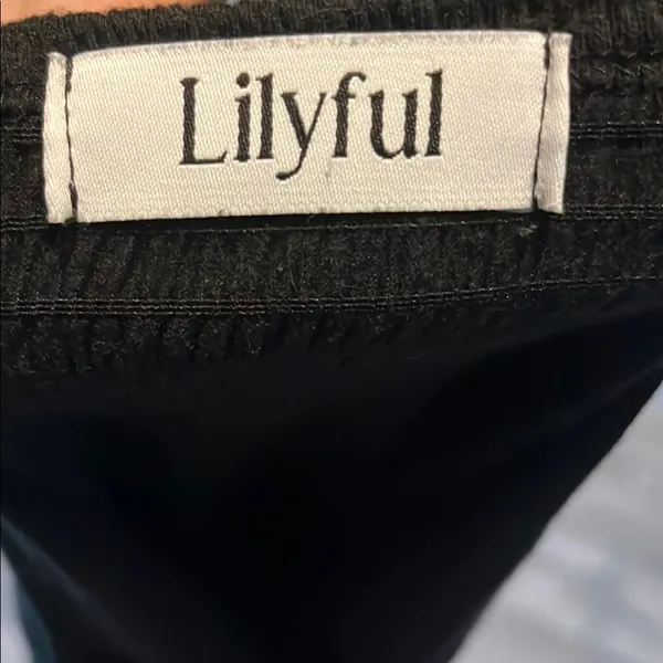 Lilyful Black cutout Mini Dress - Image 6
