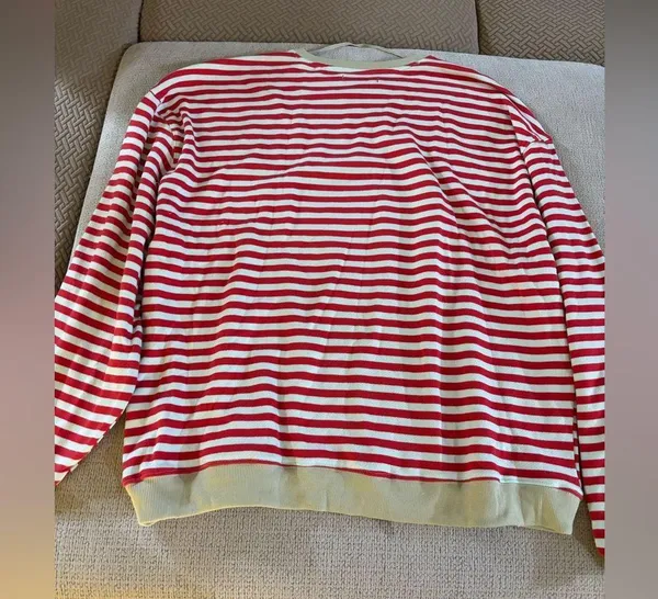 We The Free Free People Classic Striped Oversized Crewneck in Cherry Combo LARGE - Image 6
