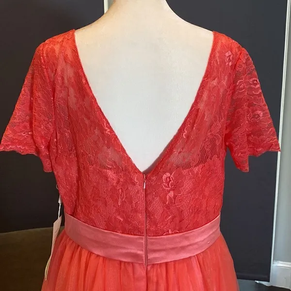 Women’s Full Length Tulle & Lace Sort Sleeve Dress Zip Up Back Size 14 NWT - Image 7