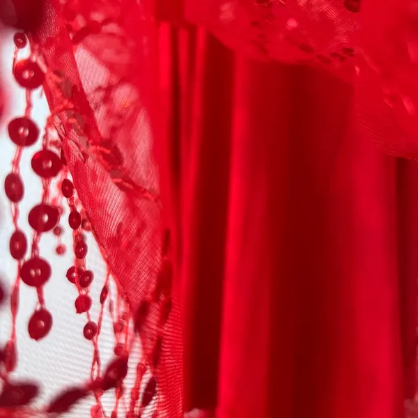 Hello Molly Red Backless Sequin Dress - Image 11