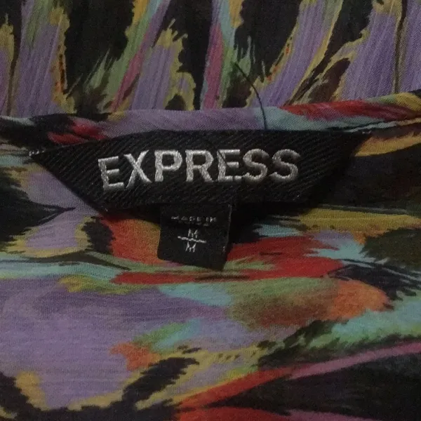 4/$25 Express Flowy Tie front chiffon top - Image 4